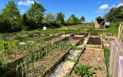 Raised Garden Beds We Recommend for Vegetables in 2026