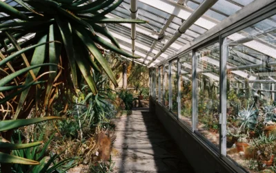 Walk-In Greenhouses We Recommend for Winter Growing in 2026