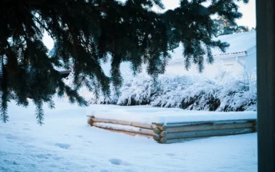 How to Winterize Raised Garden Beds Before Winter? 5 Fixes Before You Leave Them Bare