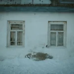 Aged house exterior with two vintage windows surrounded by snow. Perfect for winter-themed architecture visuals.