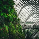 Vibrant tropical plants inside Singapore's iconic glass conservatory.