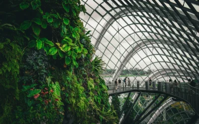 Best Greenhouse for Cold Weather Growing in 2026: 3 Warm Picks