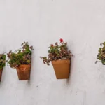 Row of terracotta wall planters with green plants and red flowers against a white wall.